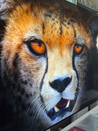 TV LG OLED 65 C4