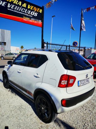 Suzuki INGNIS  2020