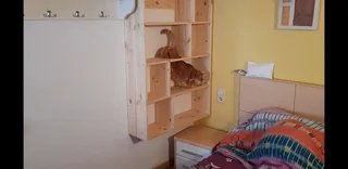 Estantería para gatos de madera