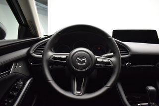 Mazda Mazda3 2.5L e-SKYACTIV G MHEV 103kW Excl-line