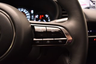 Mazda Mazda3 2.5L e-SKYACTIV G MHEV 103kW Excl-line