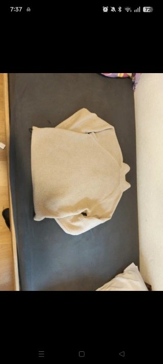 Sudadera borreguillo beige