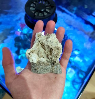 Roca Magnética/Coralero Acuario Marino