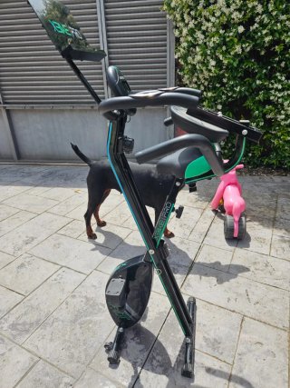 Bicicleta Estática Cecotec Plegable
