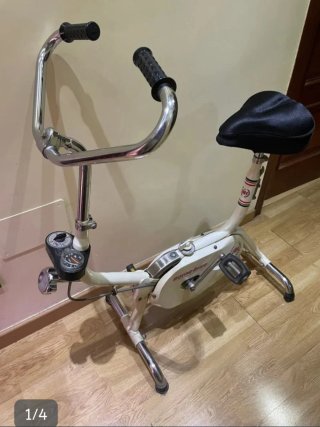 Bicicleta Estática BH Plegable