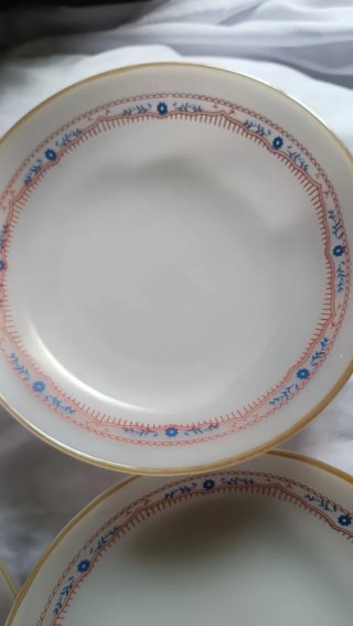 5 Platos Termocrisa Vintage Opalino México