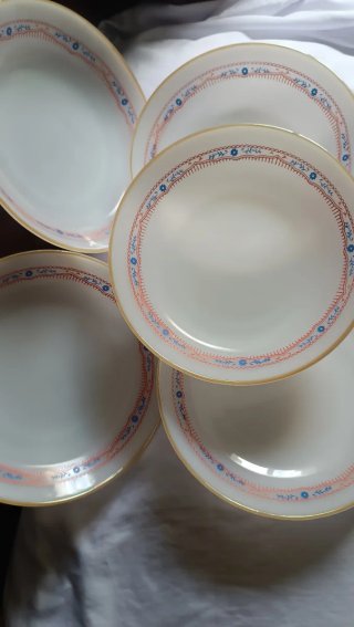 5 Platos Termocrisa Vintage Opalino México