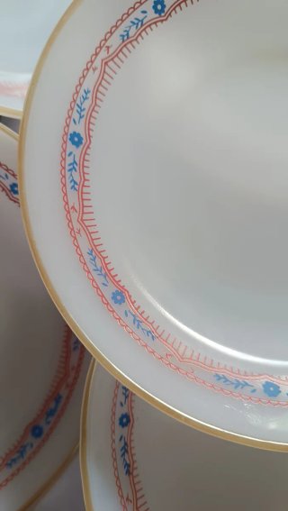 5 Platos Termocrisa Vintage Opalino México