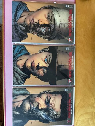 The Walking Dead Deluxe 2nd print 1 to 12