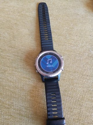 Garmin Fenix 5 Plus Reloj Deportivo