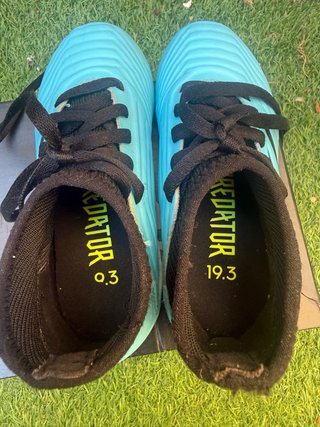 Botas Fútbol Adidas Predator 19.3 AG J Niño