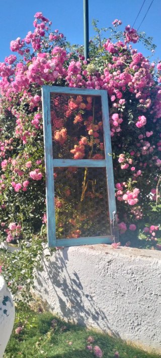 Ventana vintage decoración