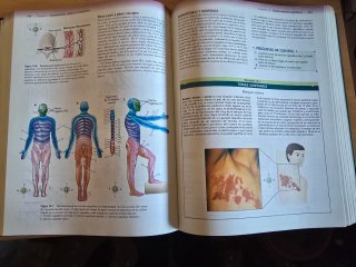 Anatomía y Fisiología. Harcourt.