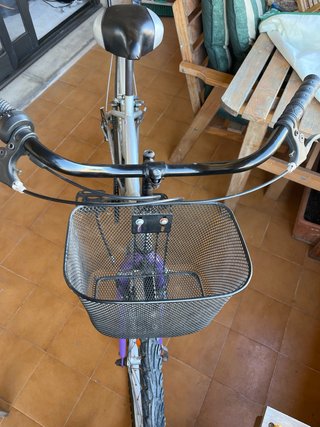Bicicleta City Driver Gris con Cesta