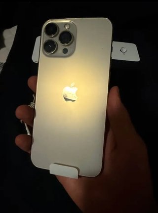 iPhone 13 Pro Max 256GB Oro/Argento