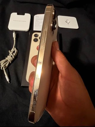 iPhone 13 Pro Max 256GB Oro/Argento