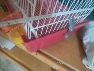 Jaula para pájaros blanca y roja
