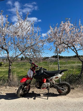 Pit Bike rebel master 110cc