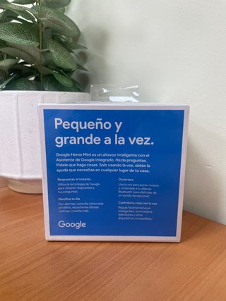 Google Home Mini -123032-