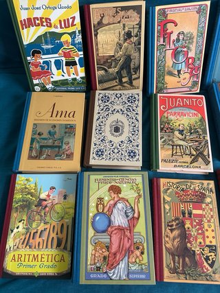 Lote libro escolares antiguos