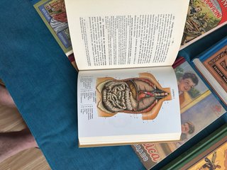 Lote libro escolares antiguos