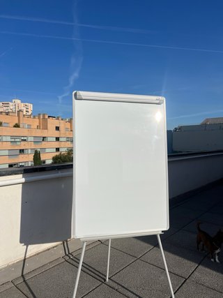 Pizarra Flipchart Profesional Blanca con Soporte