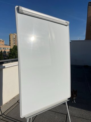Pizarra Flipchart Profesional Blanca con Soporte