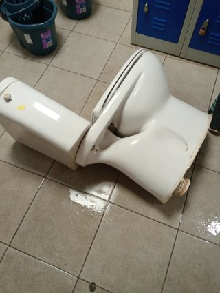Servicio de Manitas