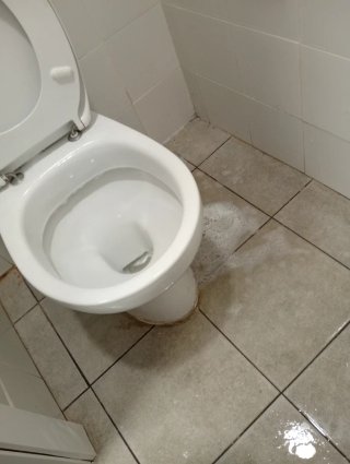 Servicio de Manitas