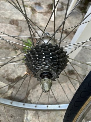 Ruedas Campagnolo Omicron Strade