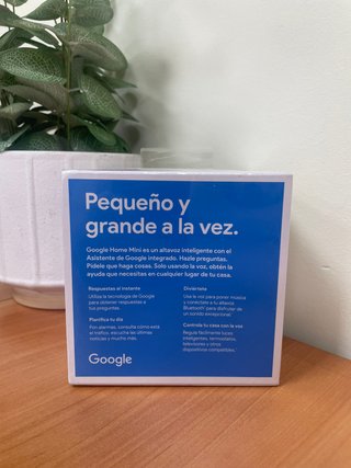 Google Home Mini -123033-
