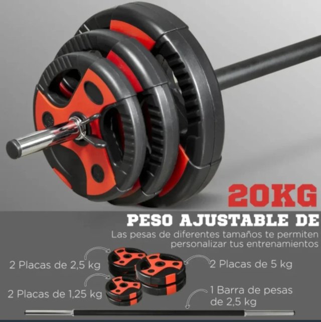 Barra de Pesas con 6 Discos