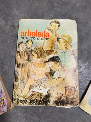 Lote 4 Libros y Cómics Escolares Antiguos