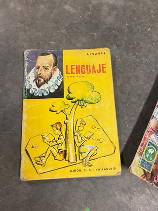 Lote 4 Libros y Cómics Escolares Antiguos