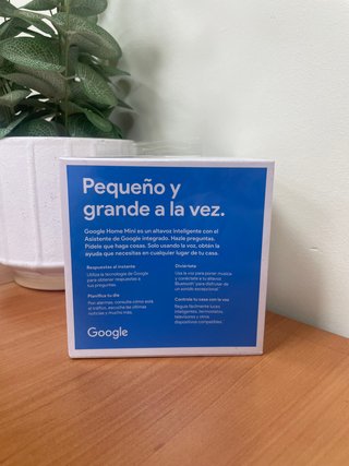 Google Home Mini -123015-