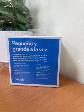 Google Home Mini -123021-