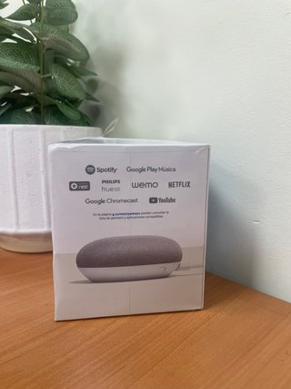 Google Home Mini -123021-