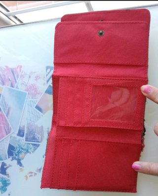 Monedero Desigual Multicolor