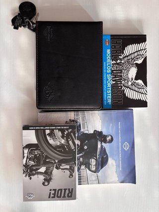 Harley Davidson Iron 883 Negra