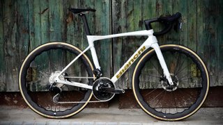 Bianchi Specialissima RC Talla 53 Canova