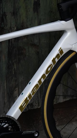 Bianchi Specialissima RC Talla 53 Canova