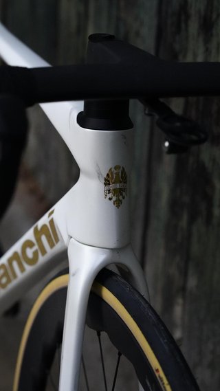 Bianchi Specialissima RC Talla 53 Canova