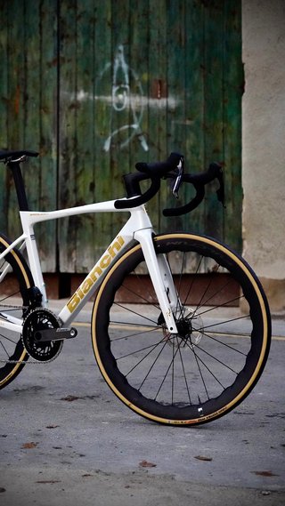 Bianchi Specialissima RC Talla 53 Canova
