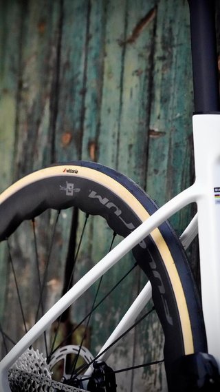 Bianchi Specialissima RC Talla 53 Canova