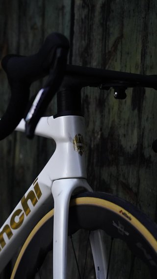 Bianchi Specialissima RC Talla 53 Canova