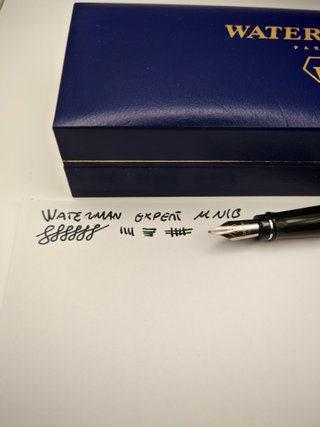 Penna Stilografica Waterman Expert Deluxe Nera M