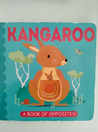 Lote de cuentos infantiles en INGLÉS