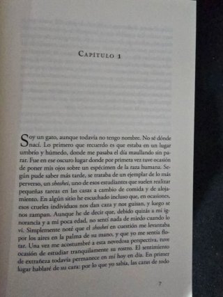 SOY UN GATO