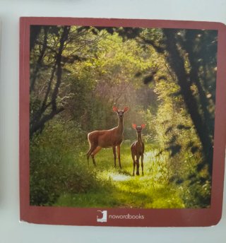 Lote de cuentos NOWORDBOOKS