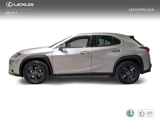 Lexus UX 2.0 250h Business